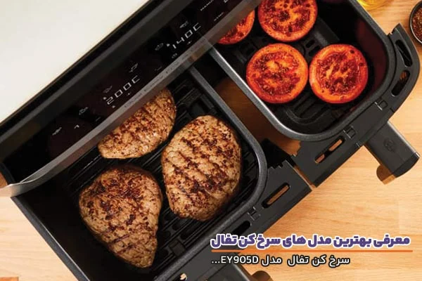 سرخ کن سرخ کن تفال مدل 905