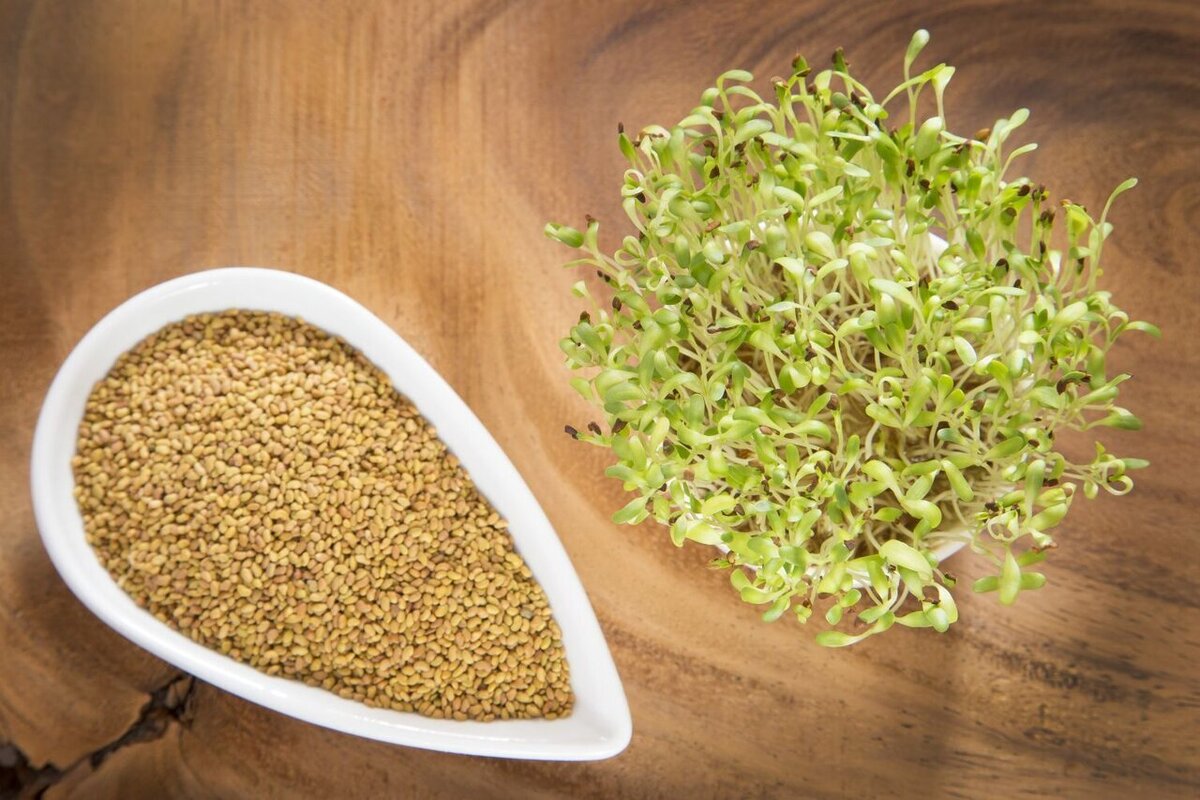 با عرق یونجه کمخونی و ضعف را درمان کنید