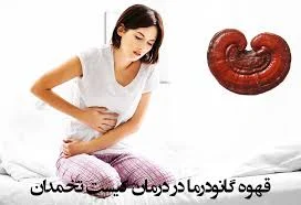 قهوه گانودرما و تنبلی تخمدان: راهی طبیعی برای بهبود عملکرد تخمدان ها