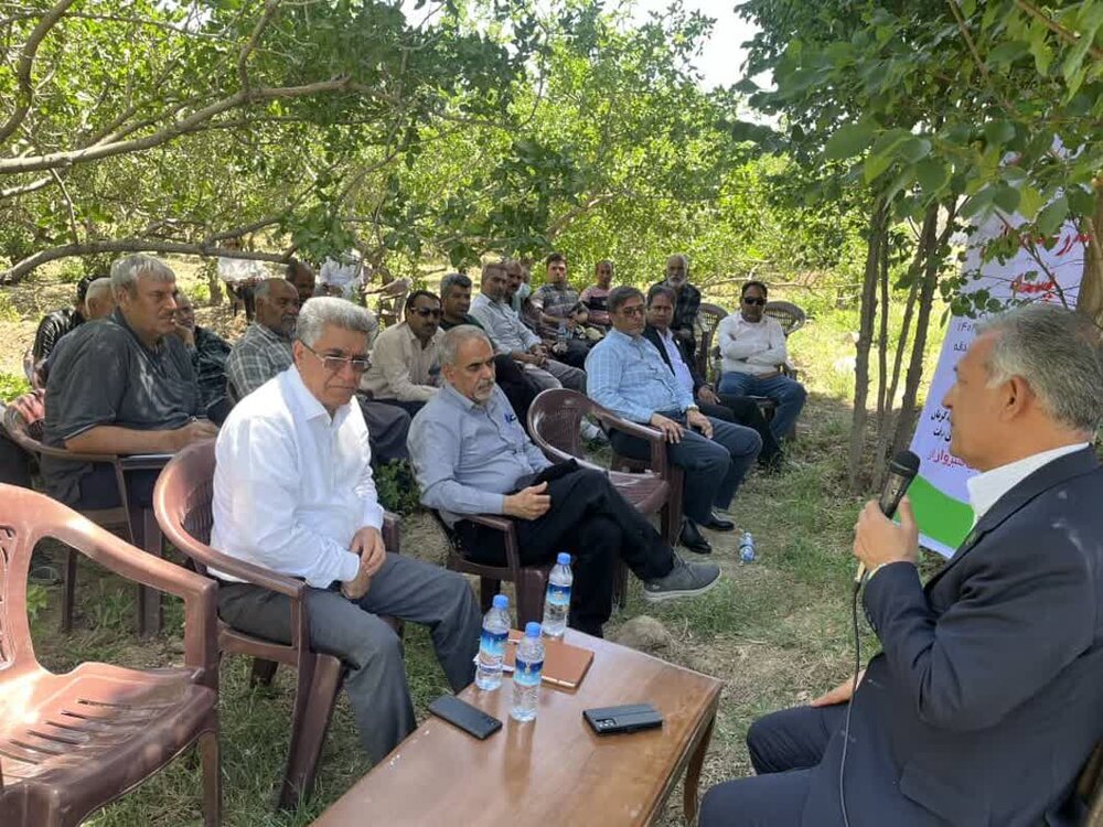 برگزاری روز مزرعه پسته در جنوب کرمان