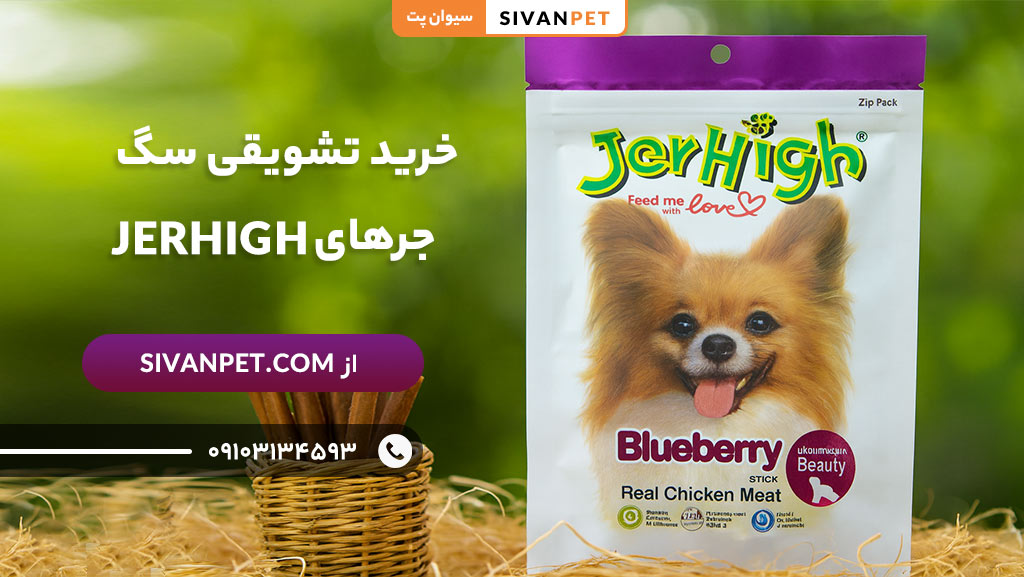 مزایای خرید تشویقی سگ جرهای