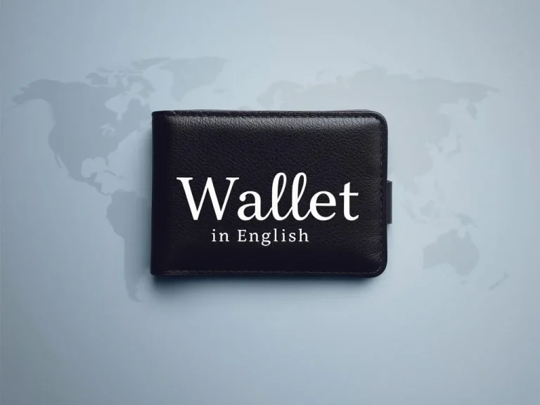 کیف پول به انگلیسی (Wallet & Purse): همه چیز درباره آن
