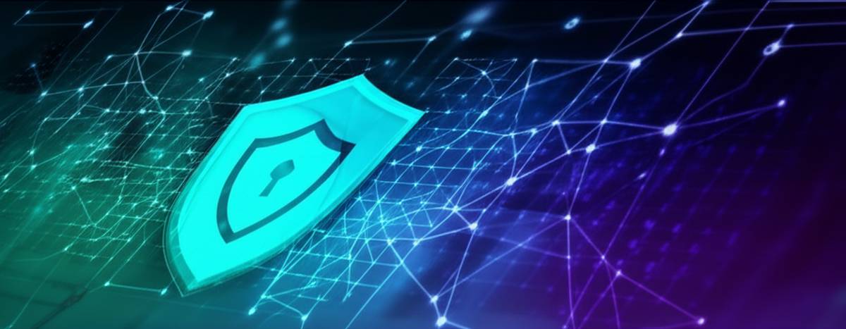 خلاصه کتاب آزمون نفوذ وب OWASP | ماتئو میوچی